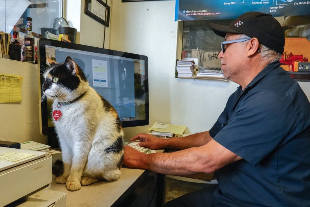 Shop owner works on computer
